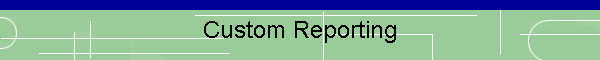 Custom Reporting